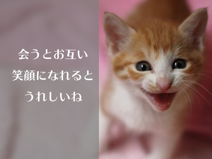 猫の笑顔タイトル